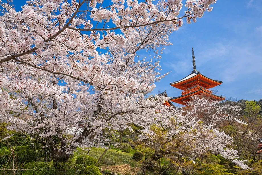 【全球政策速递】日本签证大洗牌：“经营・管理”资本要求拟升至3000万＋必须雇人！